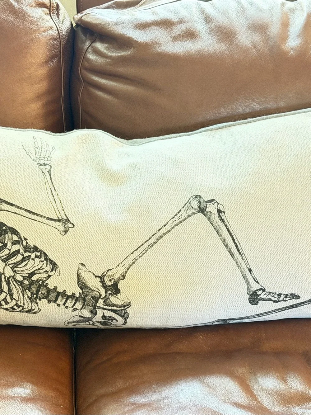 Halloween Skeleton Decorative Throw Pillow - Cream